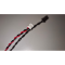 Baterie bios Laptop, CR2032, 1ST55, 3V, 220mAh, CDA 61, 5.5cm, rosu si negru, conector Molex 51021, 1,25 mm, 2 pini